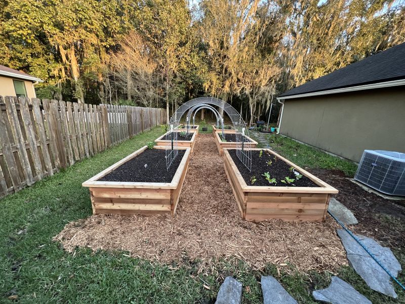 Schedule Strategic Watering