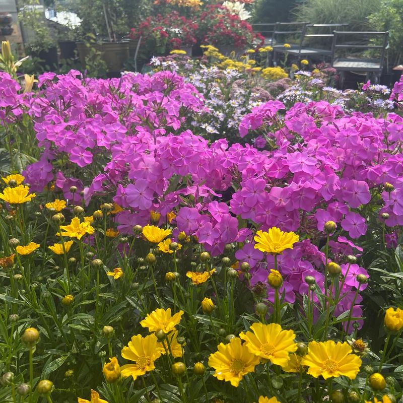 Create Planting Groups