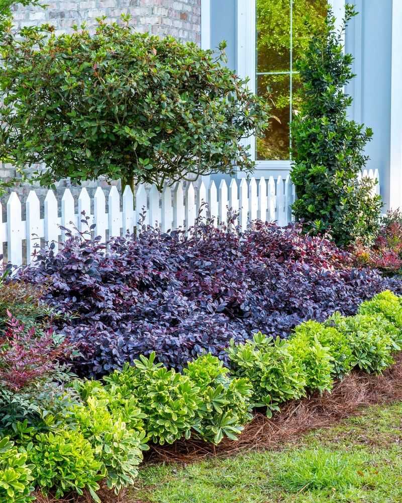 Create Plant Color Blocks