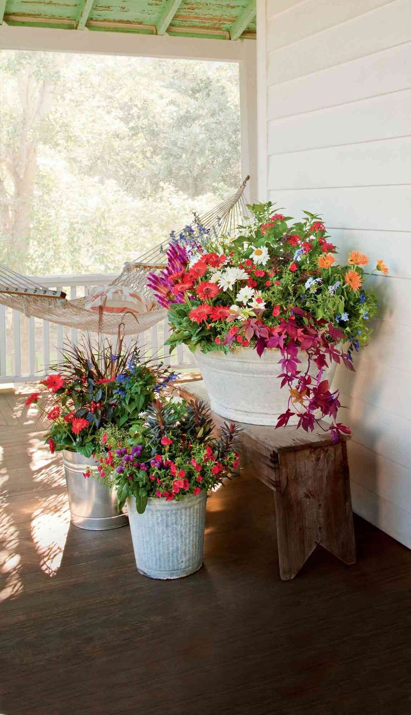 Add Colorful Container Gardens