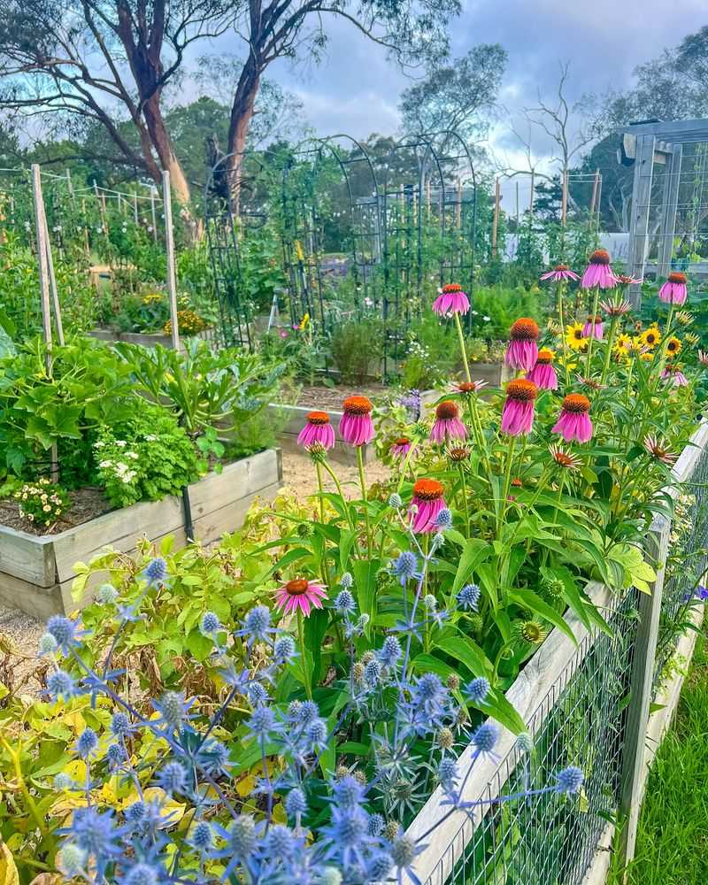 Mix Vegetables with Flowers