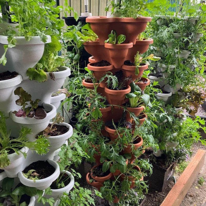 Create Vertical Growing Systems