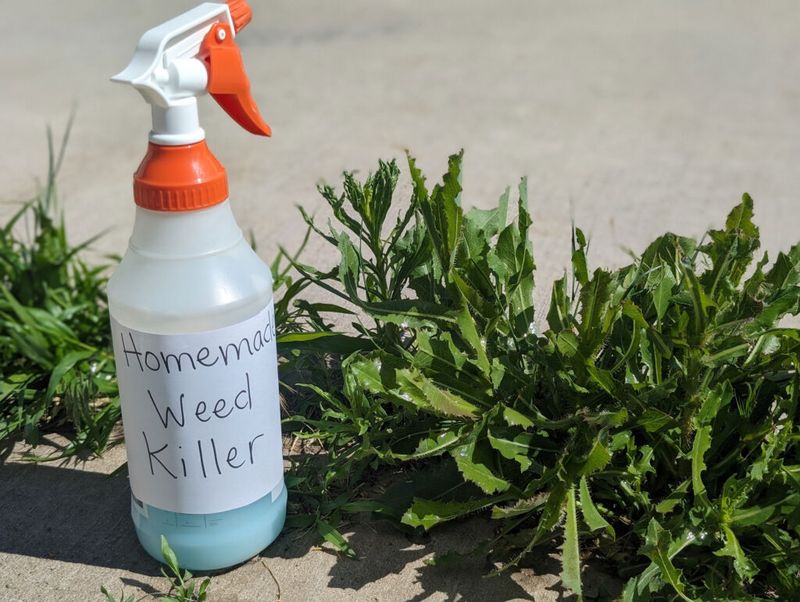 Try Vinegar-Based Organic Sprays