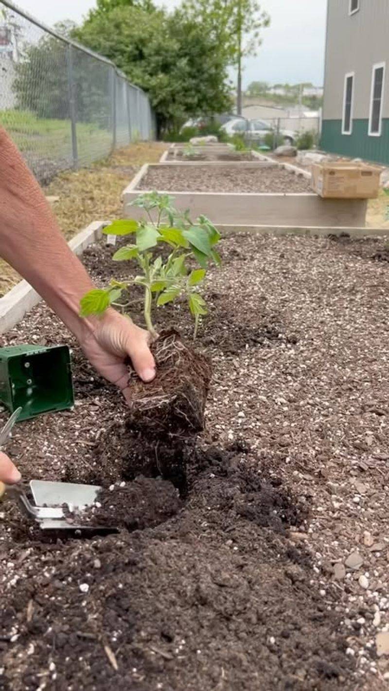 Neglected Soil Amendments
