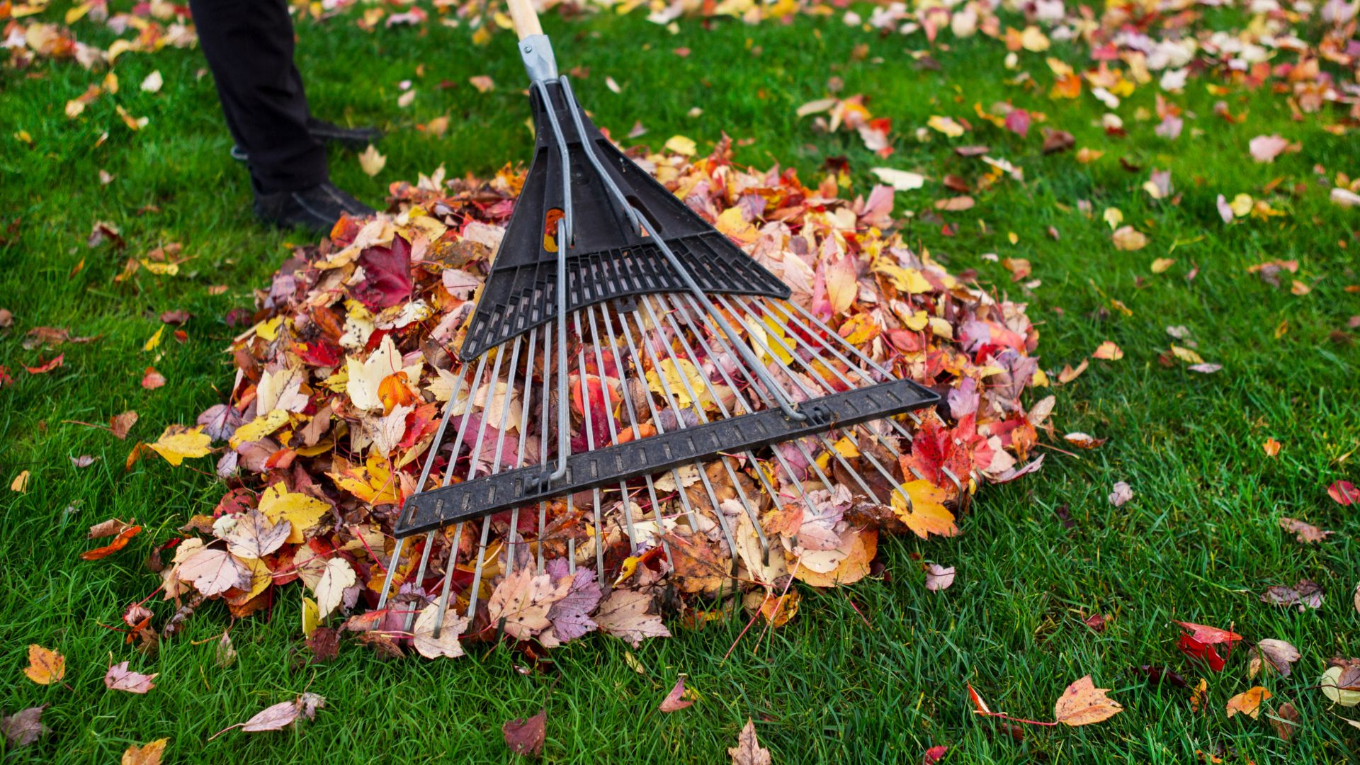 Is Your Garden A Mess? Dig Out Of A Gardening Slump With These 15 Steps