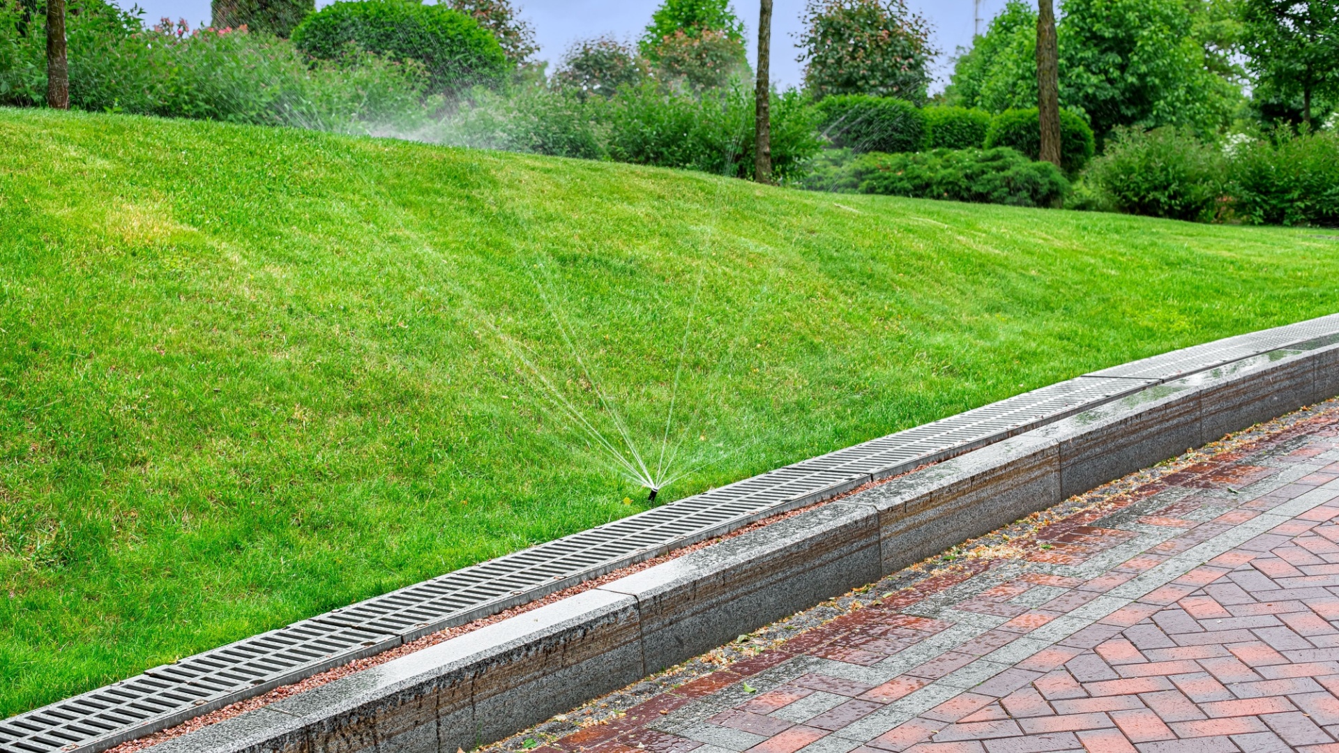 automatic sprinkler yard