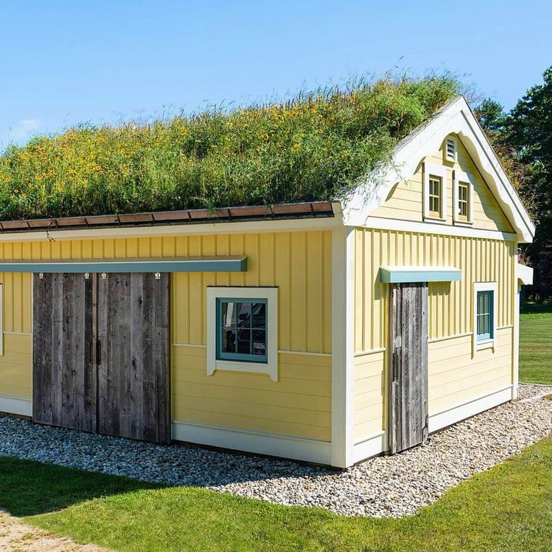 Living Roof Shed