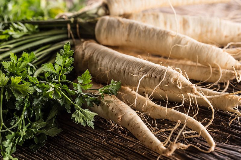 Hamburg Parsley: The Root Parsley