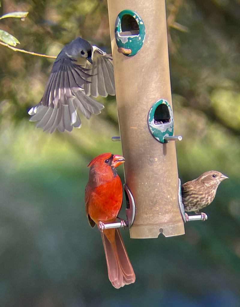 Create Morning Feeding Routines