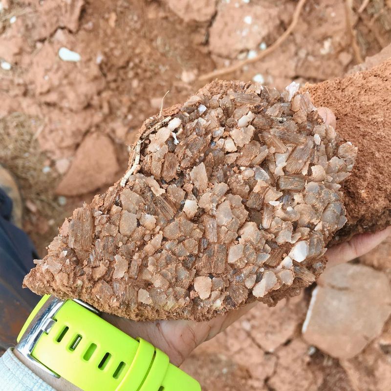 Gypsum: Clay-Busting Calcium Source
