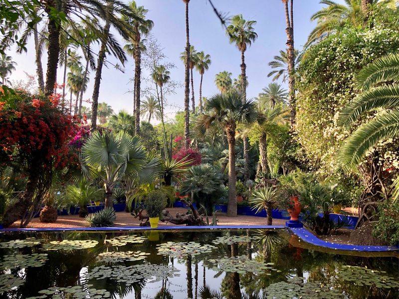 Majorelle Garden, Morocco