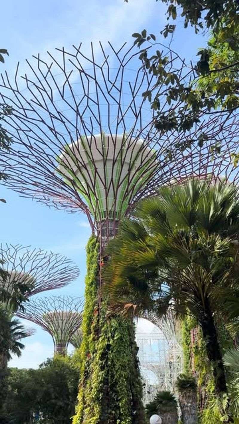 Gardens by the Bay, Singapore