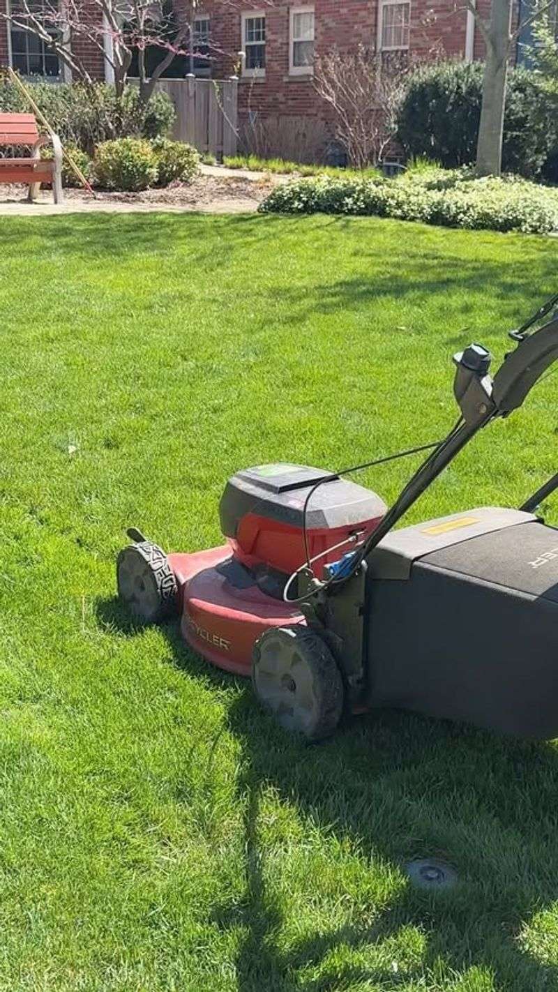 Gas-Powered Mowers