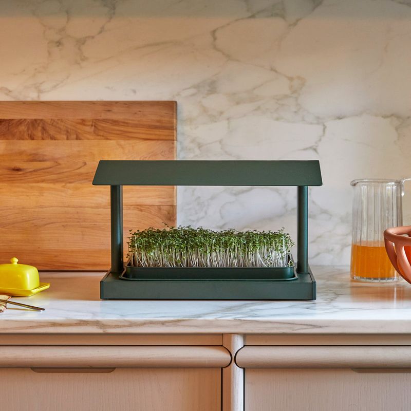 Countertop Microgreens Station