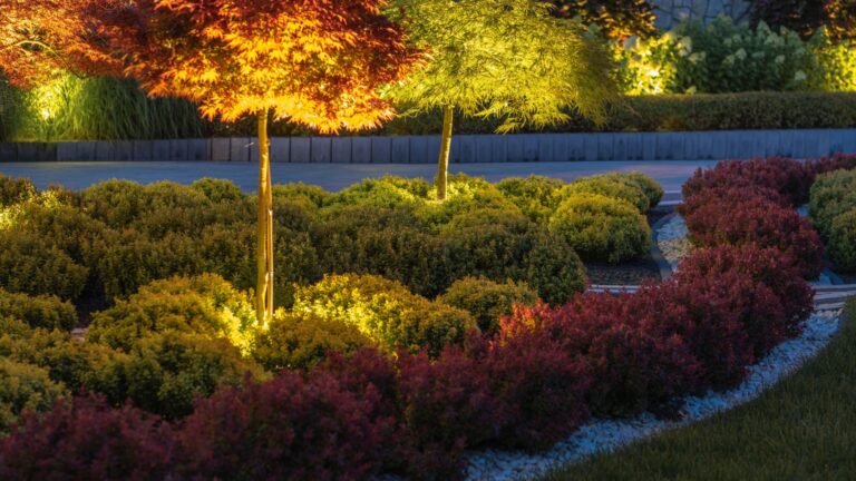 backyard at night adorned with bushes and lights