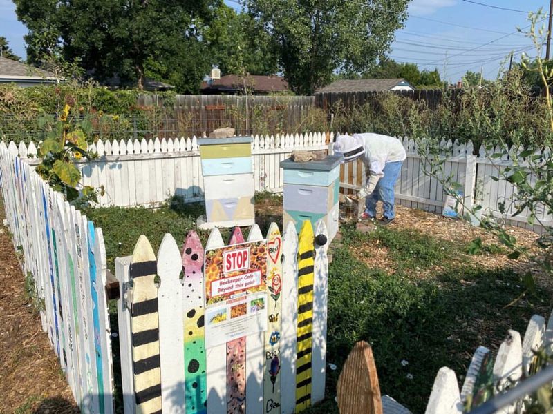 Beehives in Urban Areas