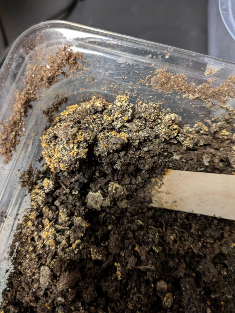 Fertilizer Crust Formation
