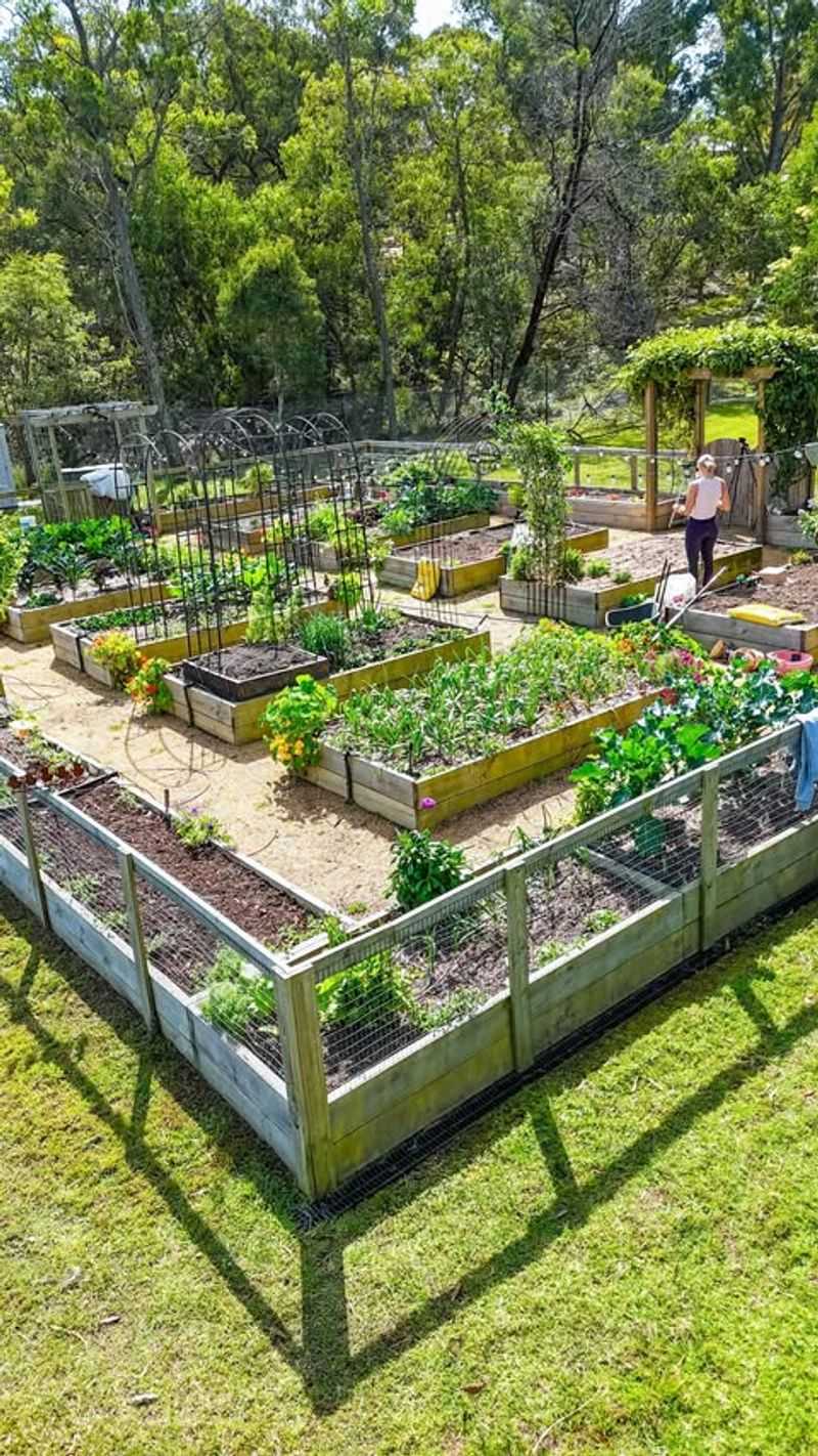 Vegetable Garden Beds