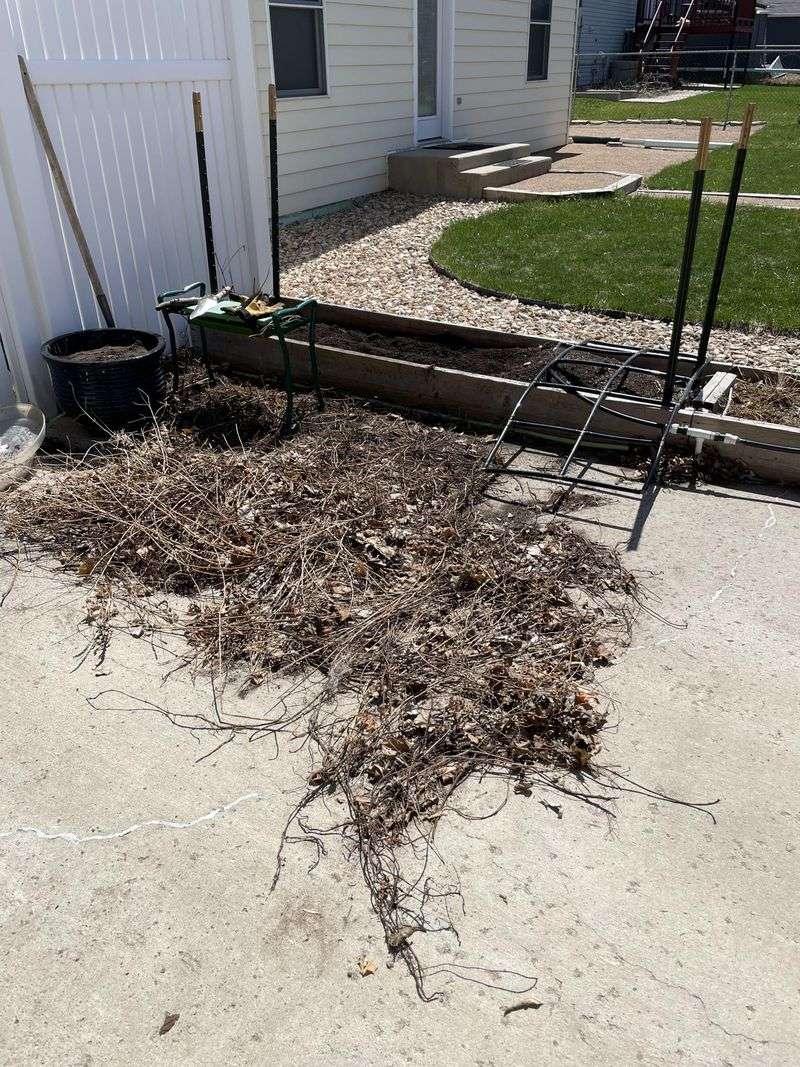 Hardscape Damage