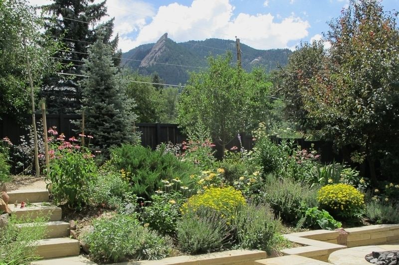 Incorporate Drought-Resistant Choices