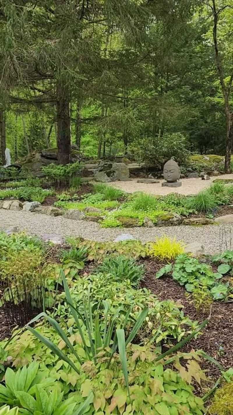 Shade-Loving Woodland Garden