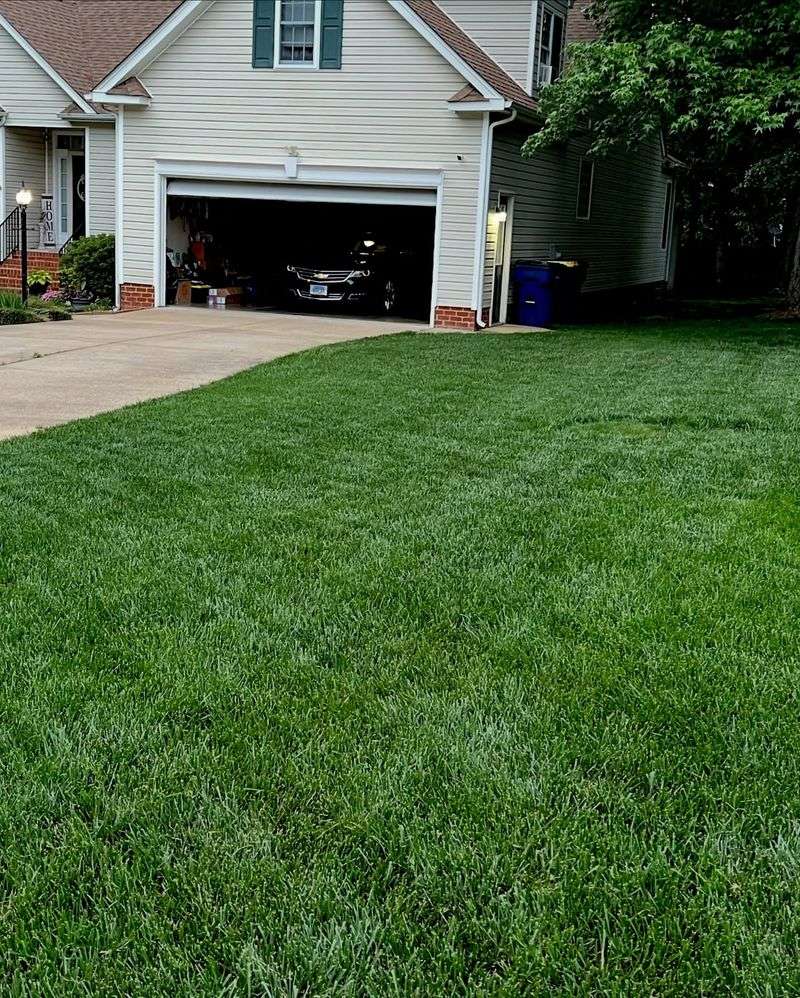 Using Dull Mower Blades