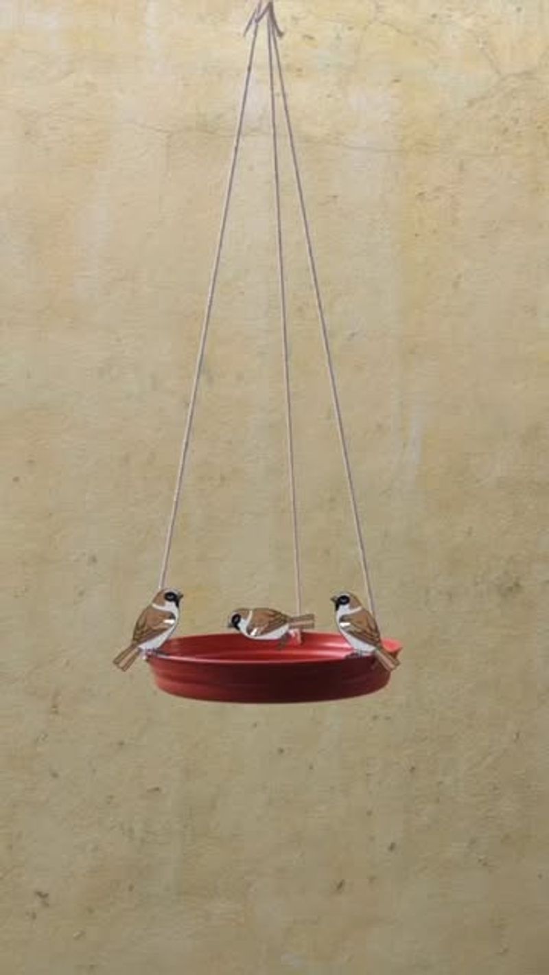 Paper Plate Seed Spinner
