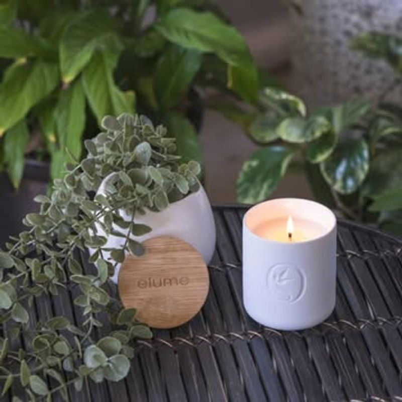 Citronella Candles: The Classic Repellent