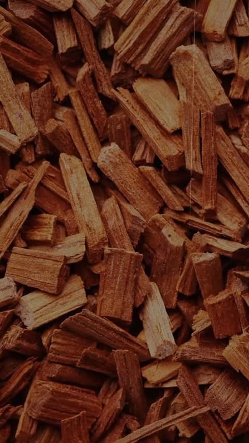 Sandalwood - The Grounding Ancient