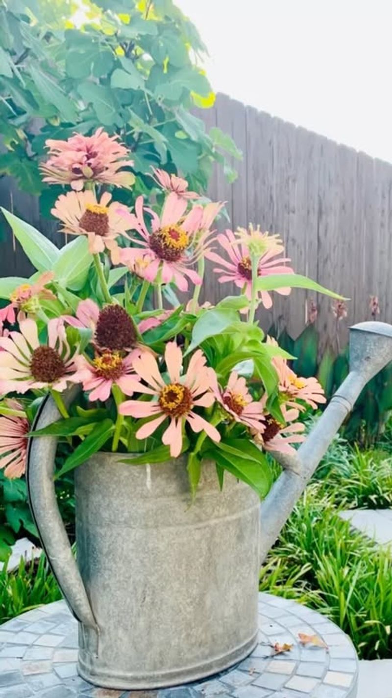 Harvesting Flowers Incorrectly