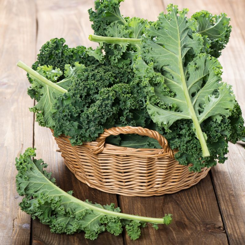 Kale