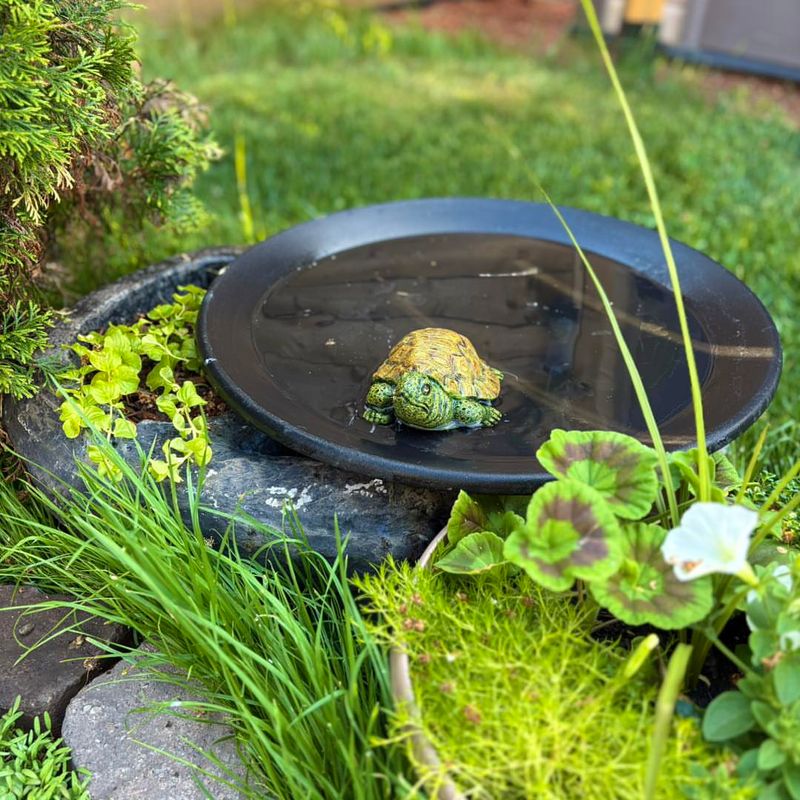 Create A Perch Paradise