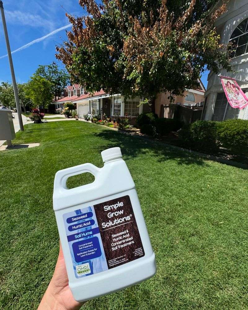 Humic Acid Amendment