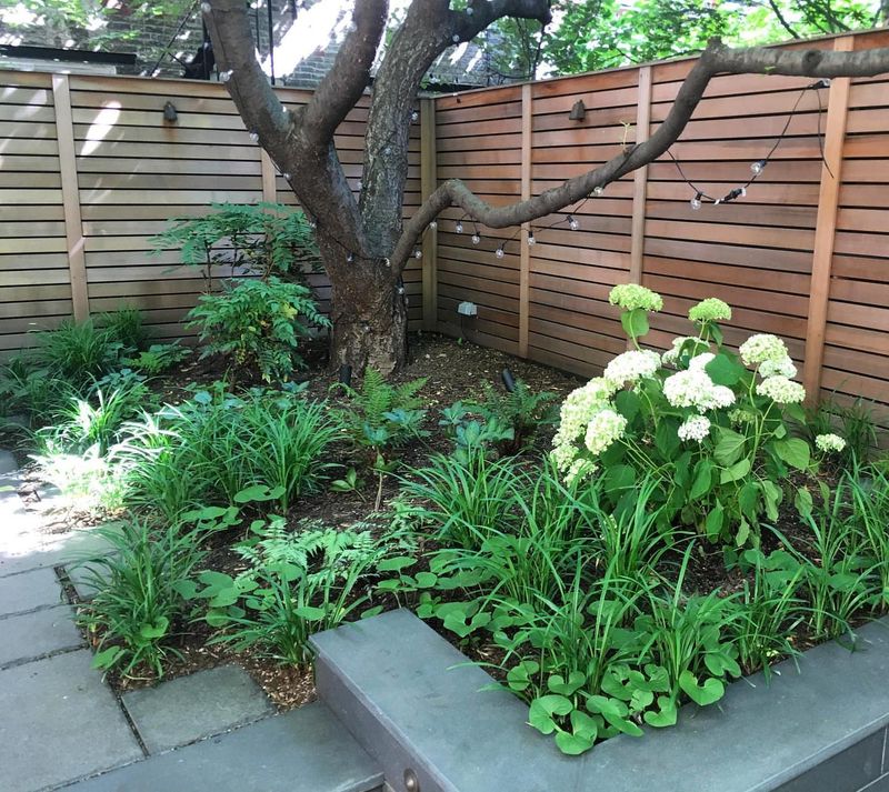 Shade Garden Oasis
