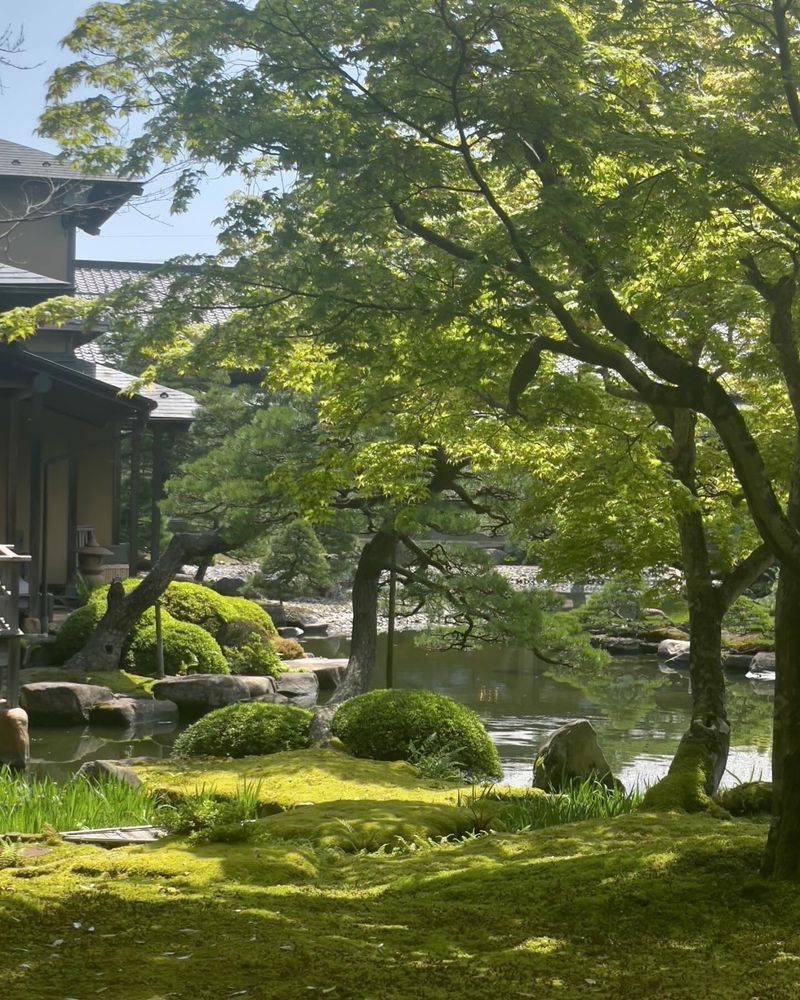 Moss Gardens