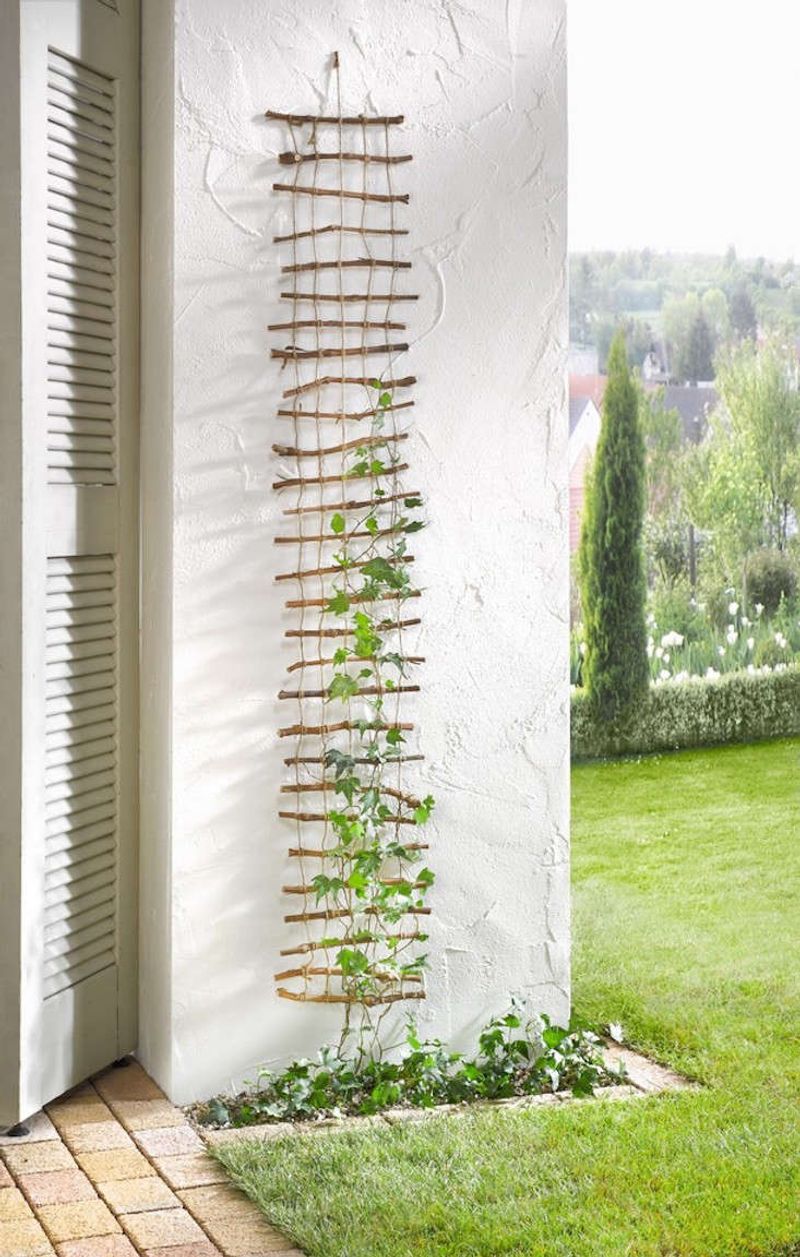 Fan-Shaped Trellis Wall