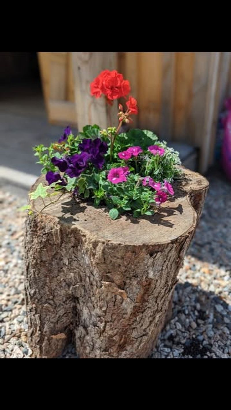 Hollow Log Planter