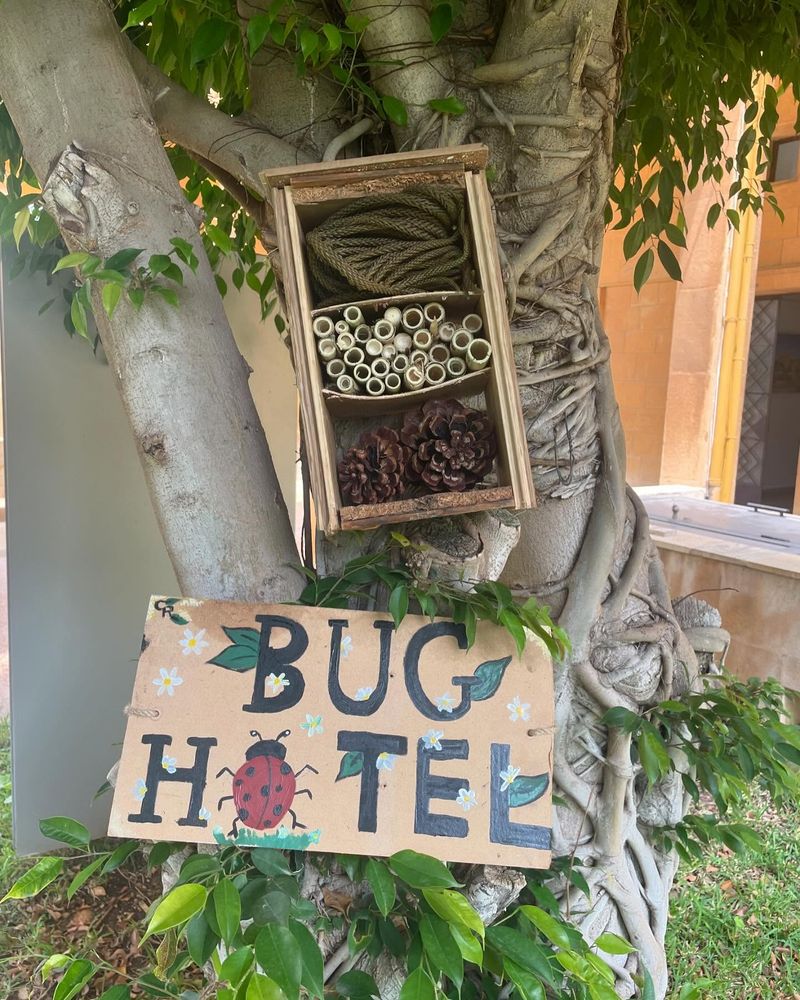 Insect Hotel Log