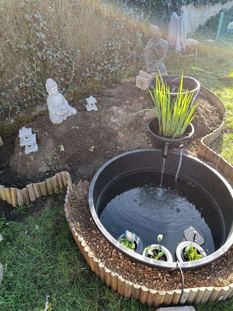 Log Border Garden Pond