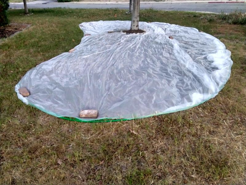 Recycled Plastic Utilization