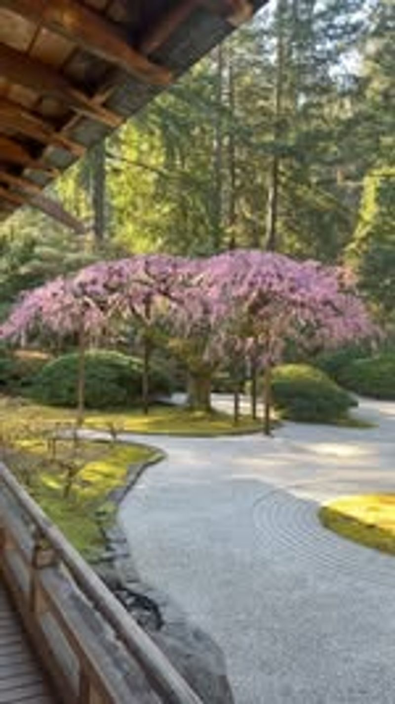 Portland Japanese Garden, Oregon