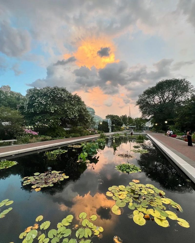 Brooklyn Botanic Garden, New York