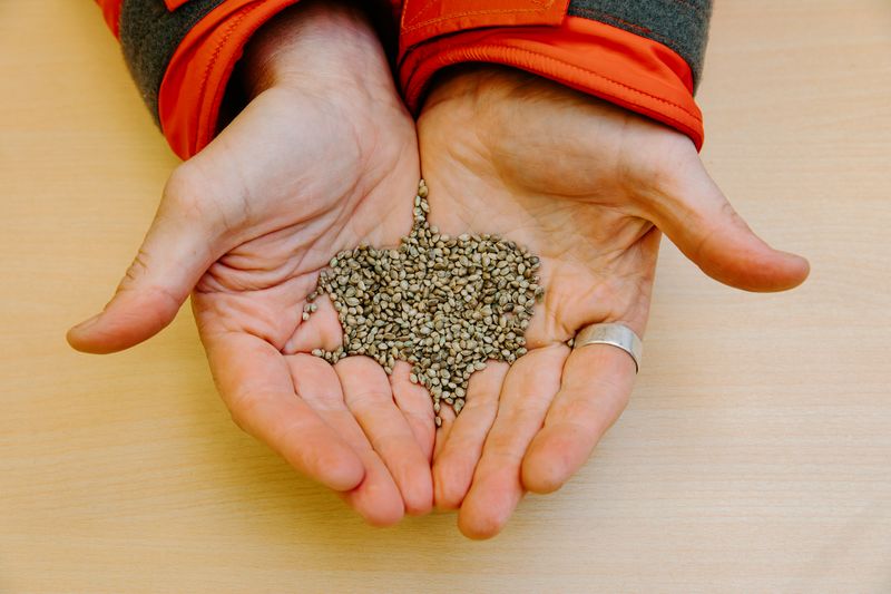Request From The USDA National Plant Germplasm System