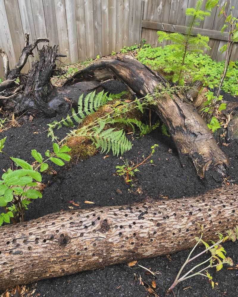 Budget-Friendly Garden Feature