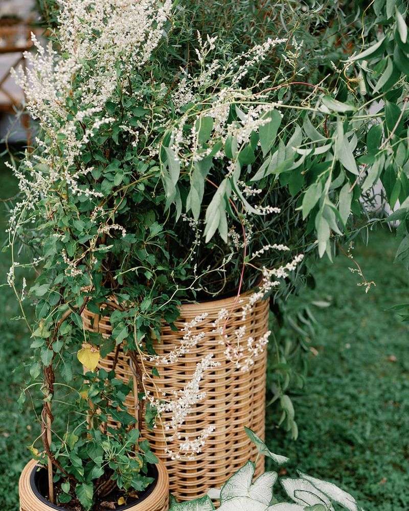 MISTAKE: Forgetting to Check for Pests