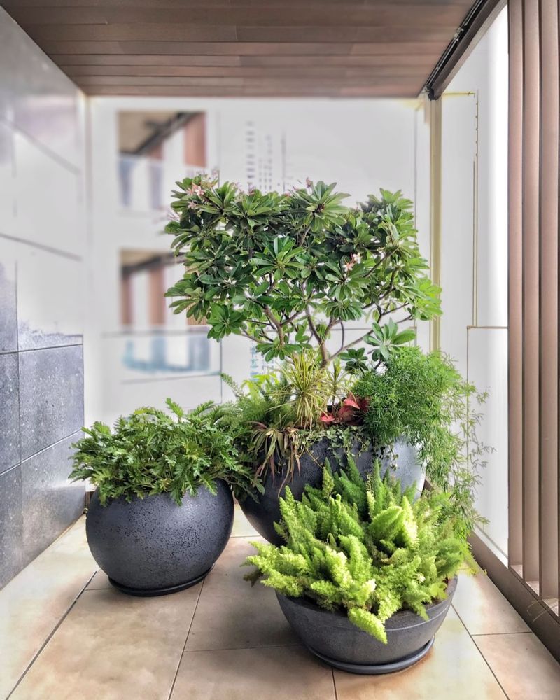 Corner Plant Cluster