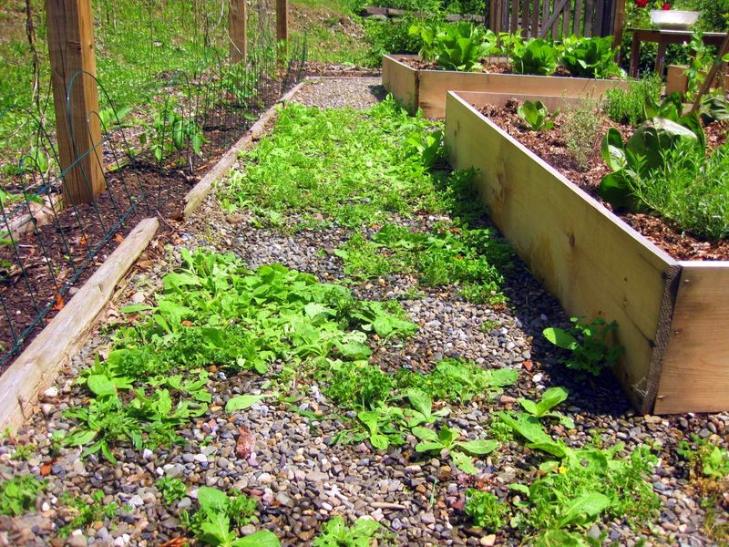 Salt-Based Weed Killers For Stubborn Spots