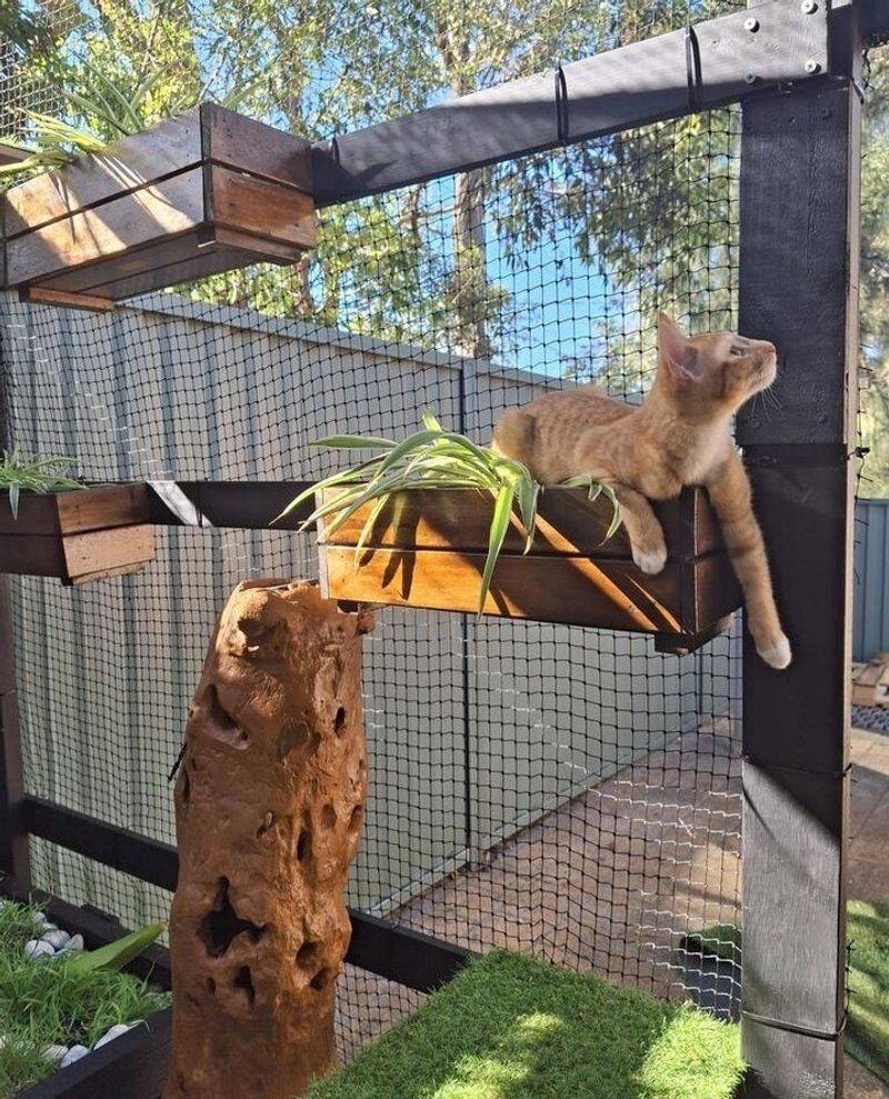 Keep Cats Indoors