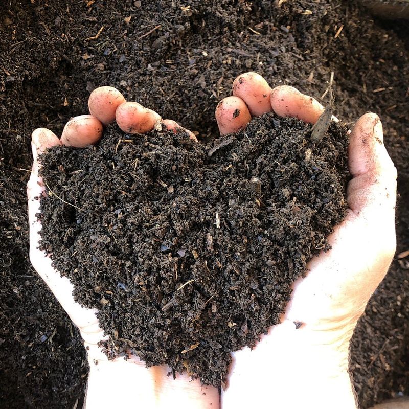 Creating Compost Accelerator