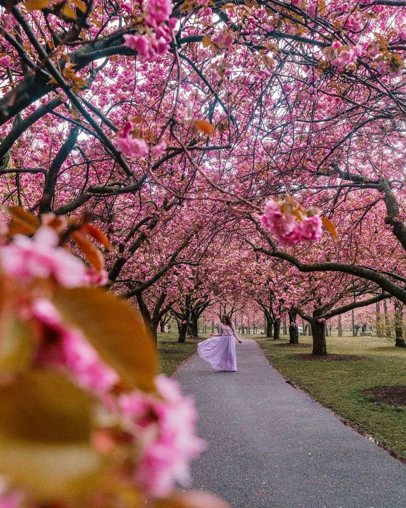 Brooklyn Botanic Garden, USA